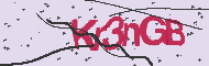 Captcha認証コード